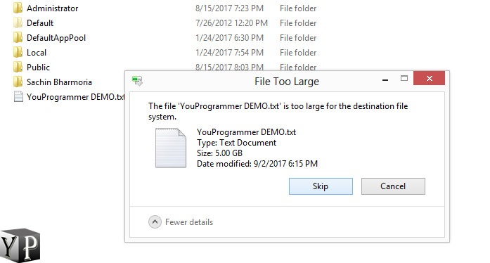 Dmg file is too large for the destination file system windows 7